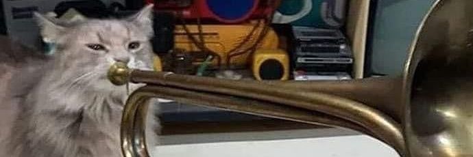 thismightbedave's profile banner image