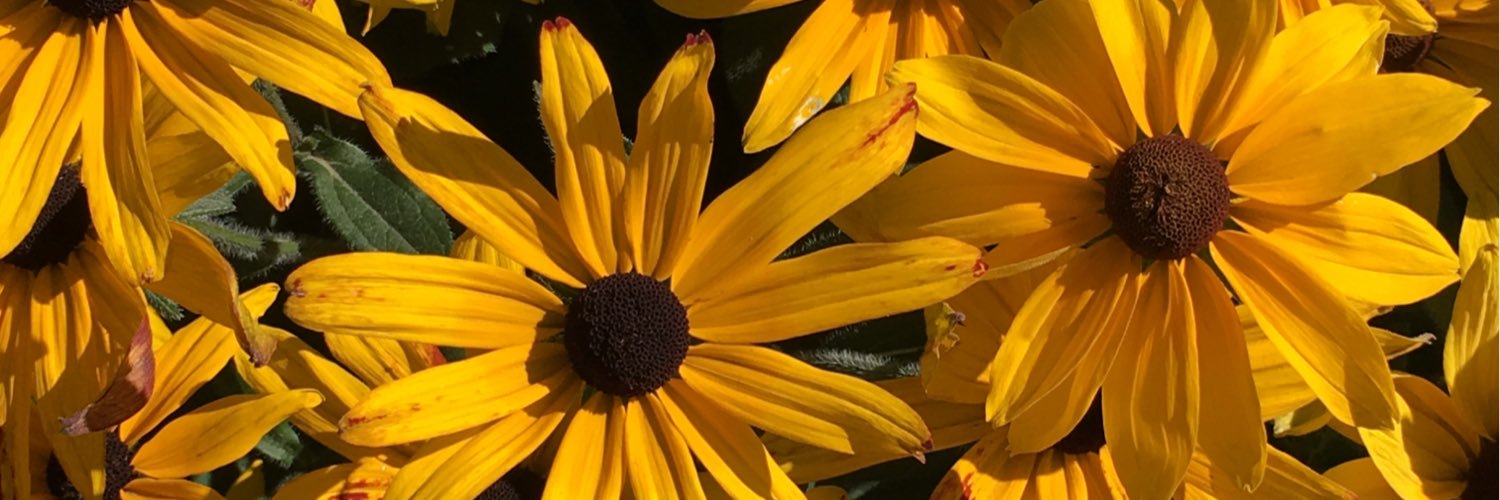 DCNDX's profile banner image