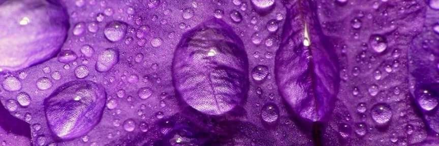 justsimmy's profile banner image