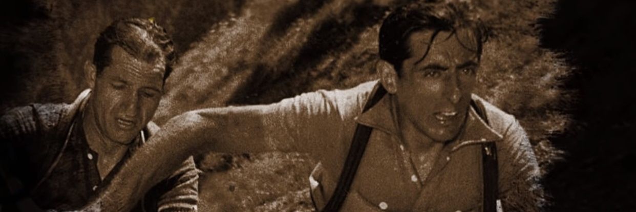 PolpoFinto's profile banner image
