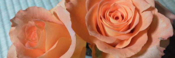 kmktter's profile banner image