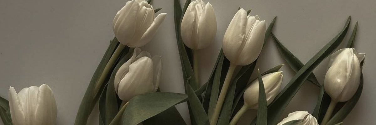 jmbbie's profile banner image