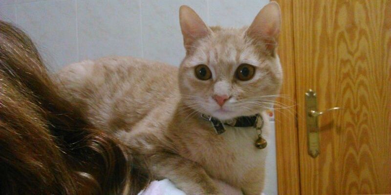 Judith_libra's profile banner image