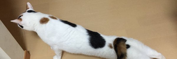 emergent Profile Banner