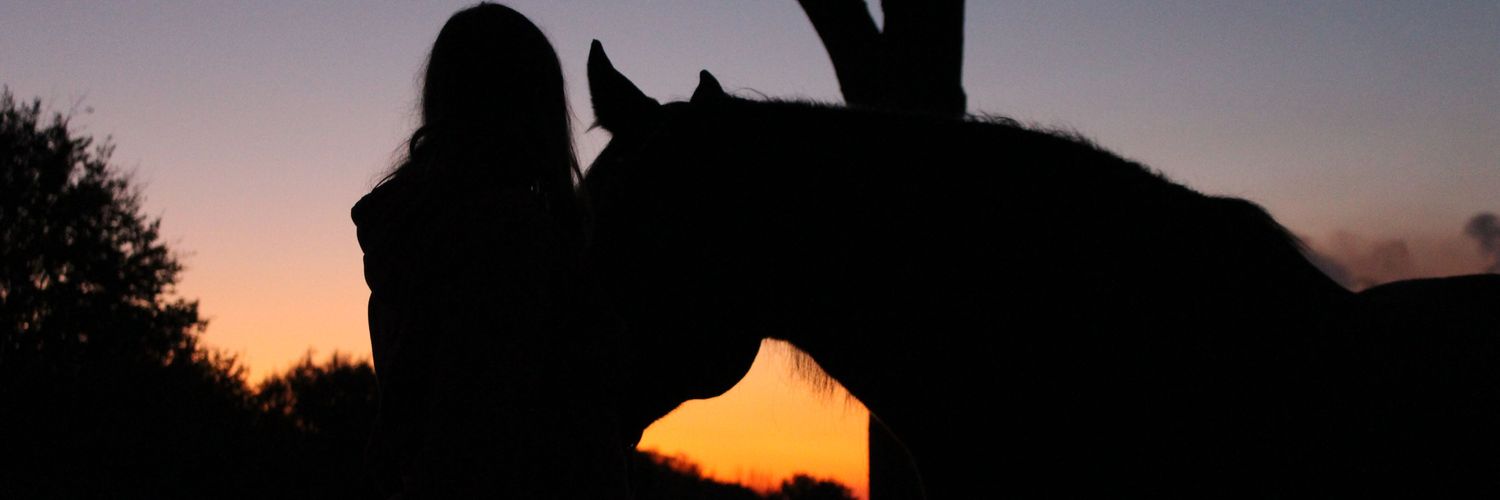 lica_1909's profile banner image