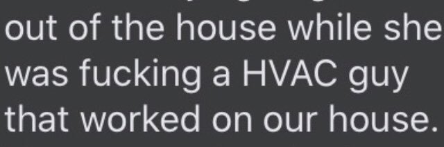 laura’s bush 💚 banner