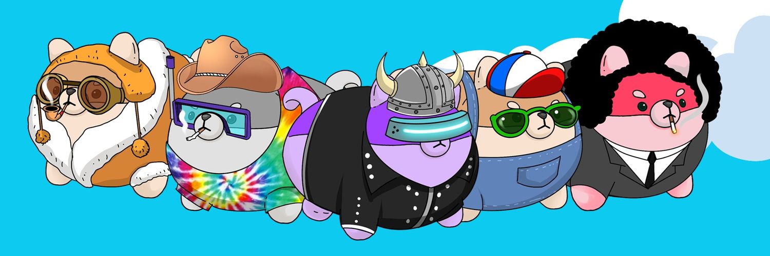 devmeisterule's profile banner image