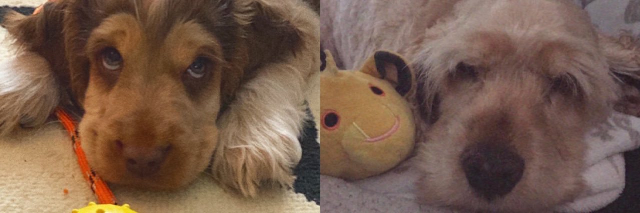 Megsjanawayx's profile banner image