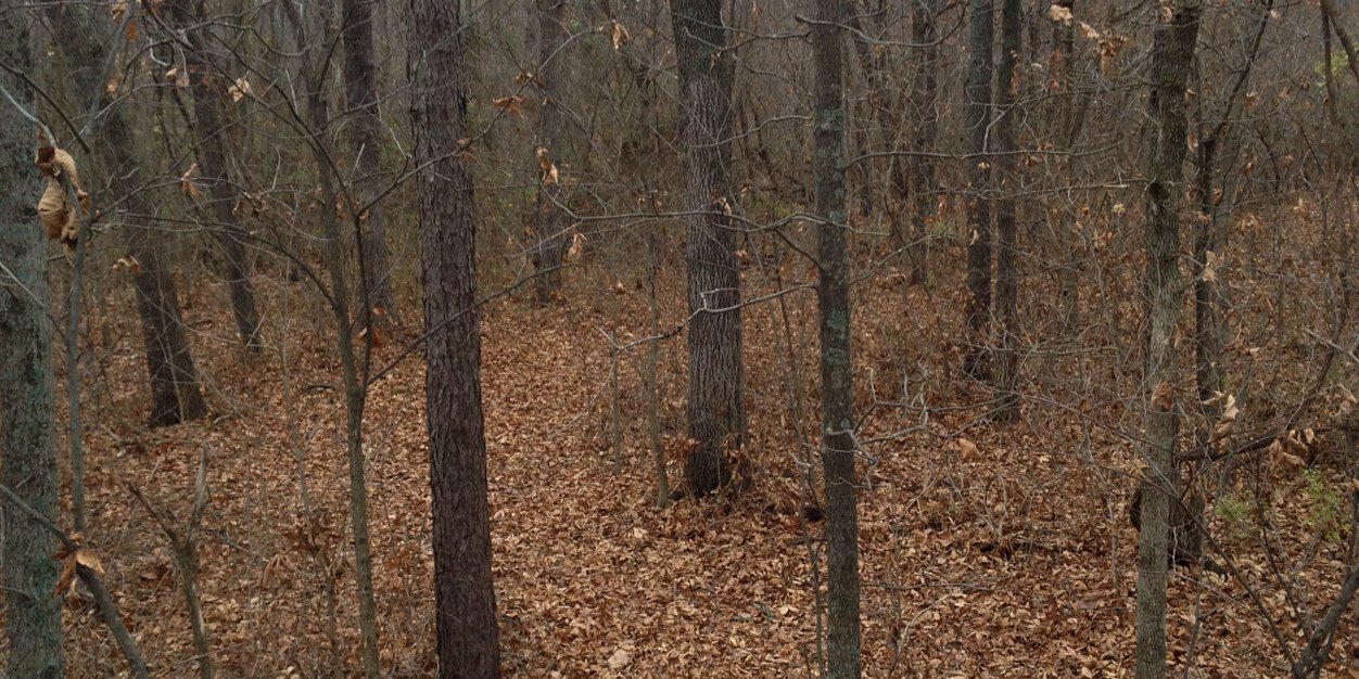 dawson_ratman's profile banner image