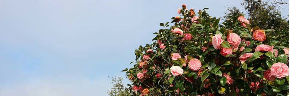 sbmoon's profile banner image