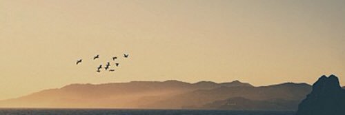 Wampirek3's profile banner image