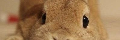 Vidalmaris's profile banner image