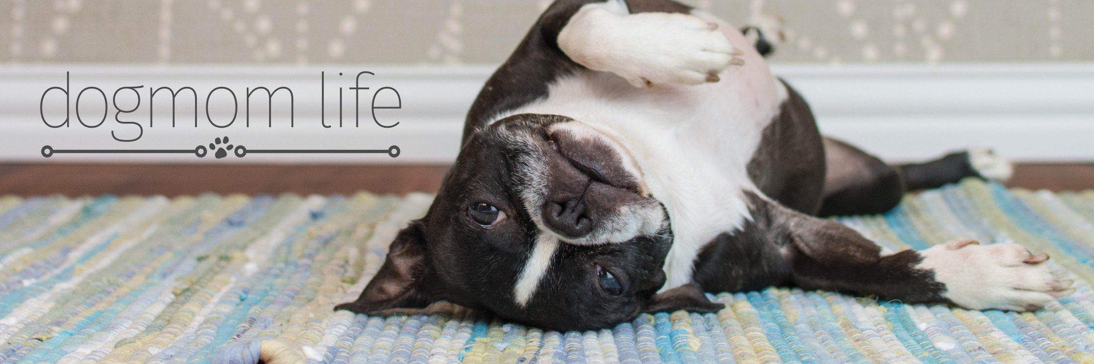 DogMomLife_com's profile banner image