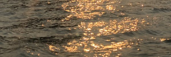 giftgivee Profile Banner