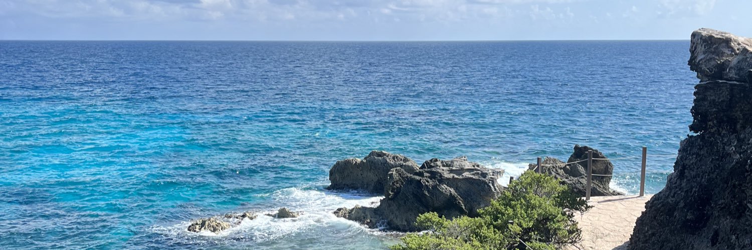 Lydiancona1's profile banner image