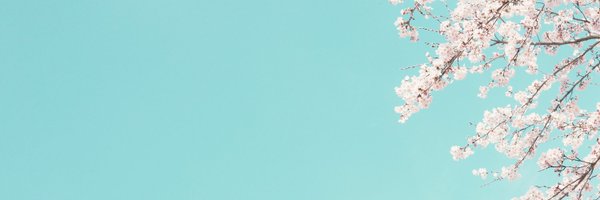petejkim Profile Banner