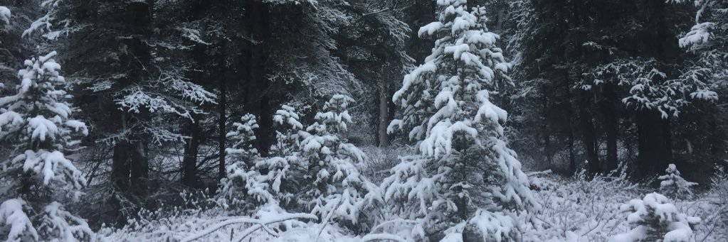 lesterdude's profile banner image