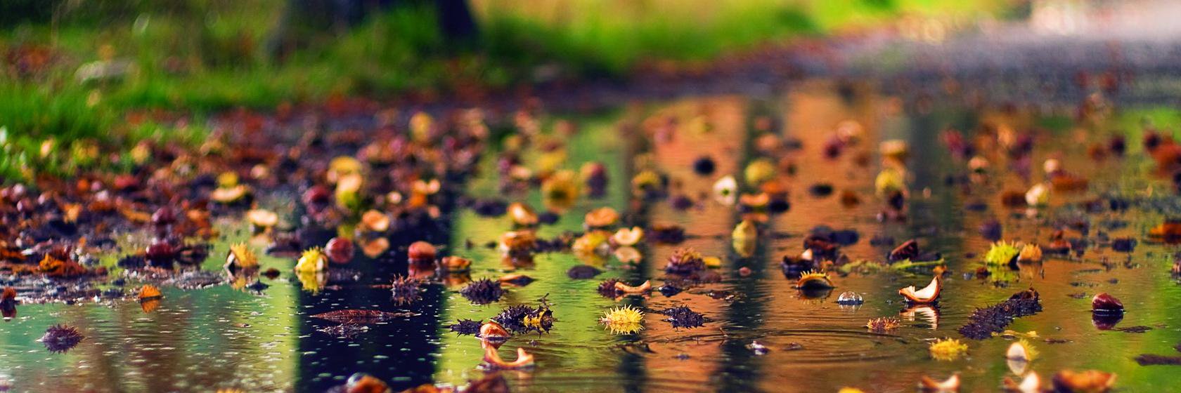Ayu_dwl's profile banner image