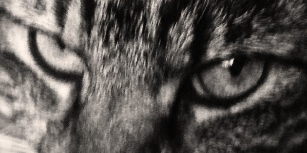 Blipdriver's profile banner image