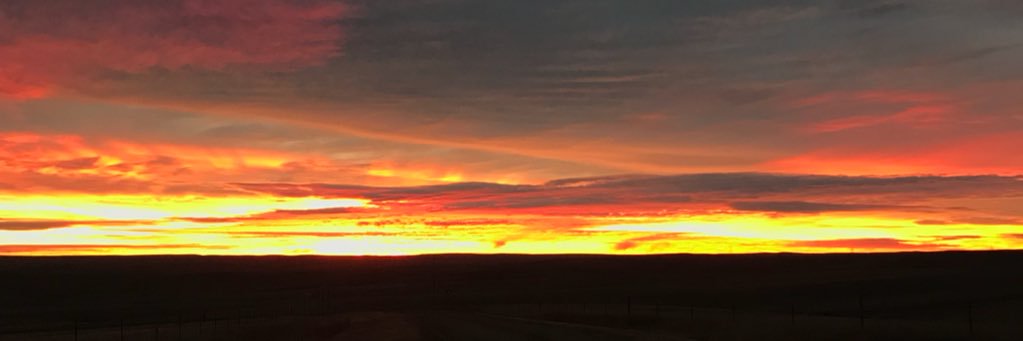 CodyParks_4's profile banner image