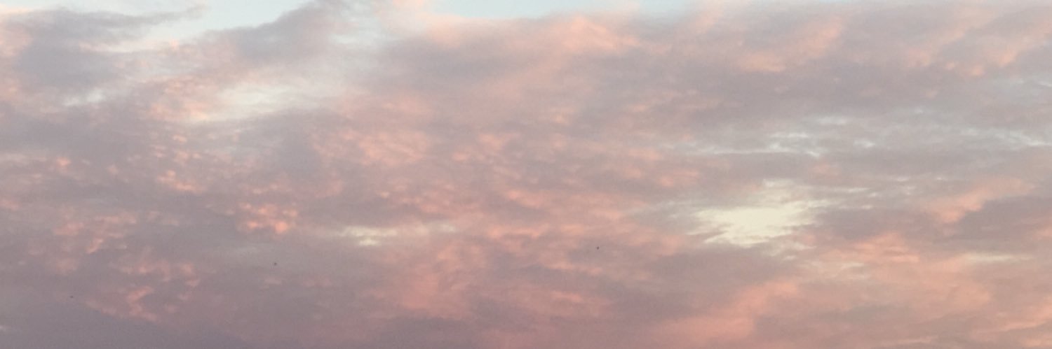 SofiGottardi's profile banner image