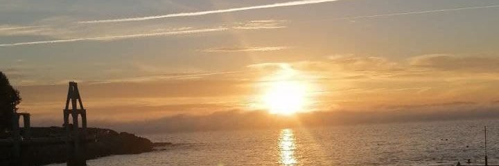 anitaveiga98's profile banner image