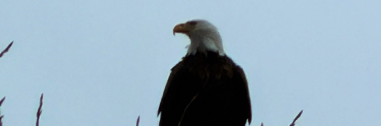 nekramp's profile banner image