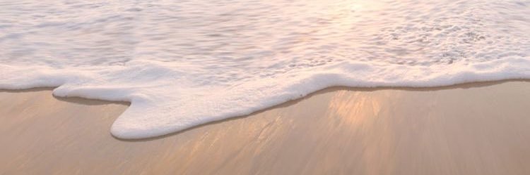 mcescamilla's profile banner image
