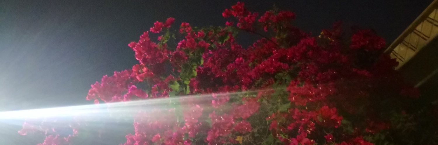 al7hot's profile banner image