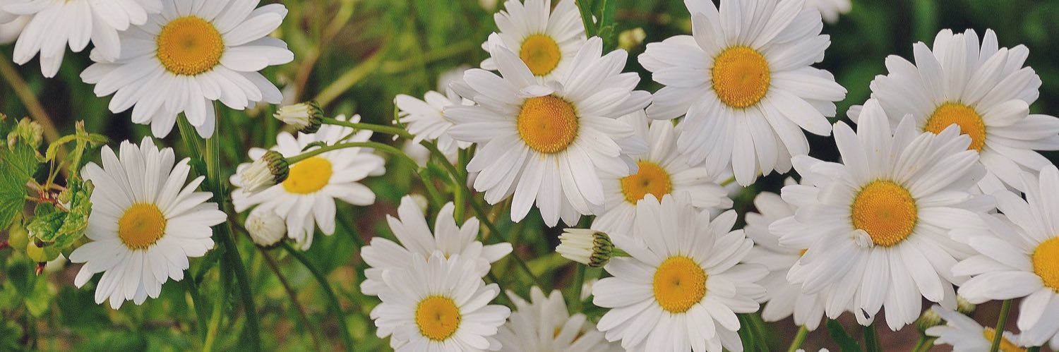 Jamiejessupxo's profile banner image