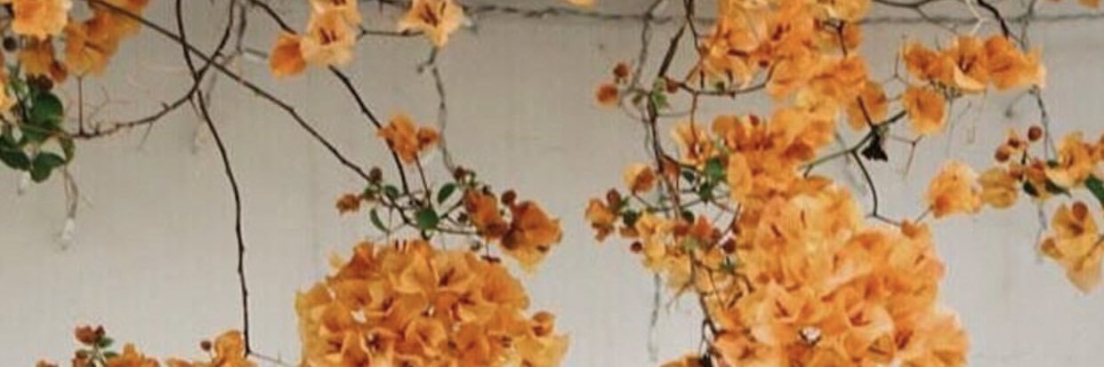 ellalinfield20's profile banner image