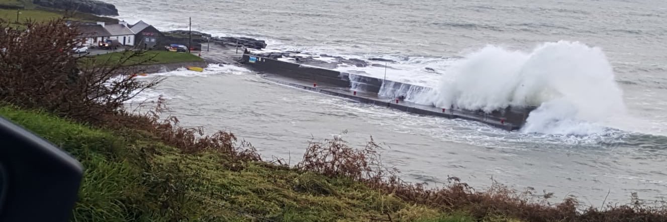 Claire Fitzpatrick banner