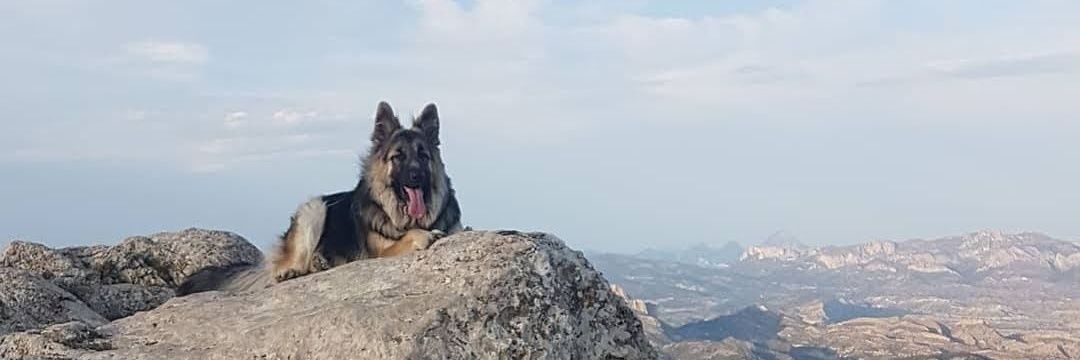 FRANCASERRES's profile banner image