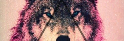ASMAlberto's profile banner image