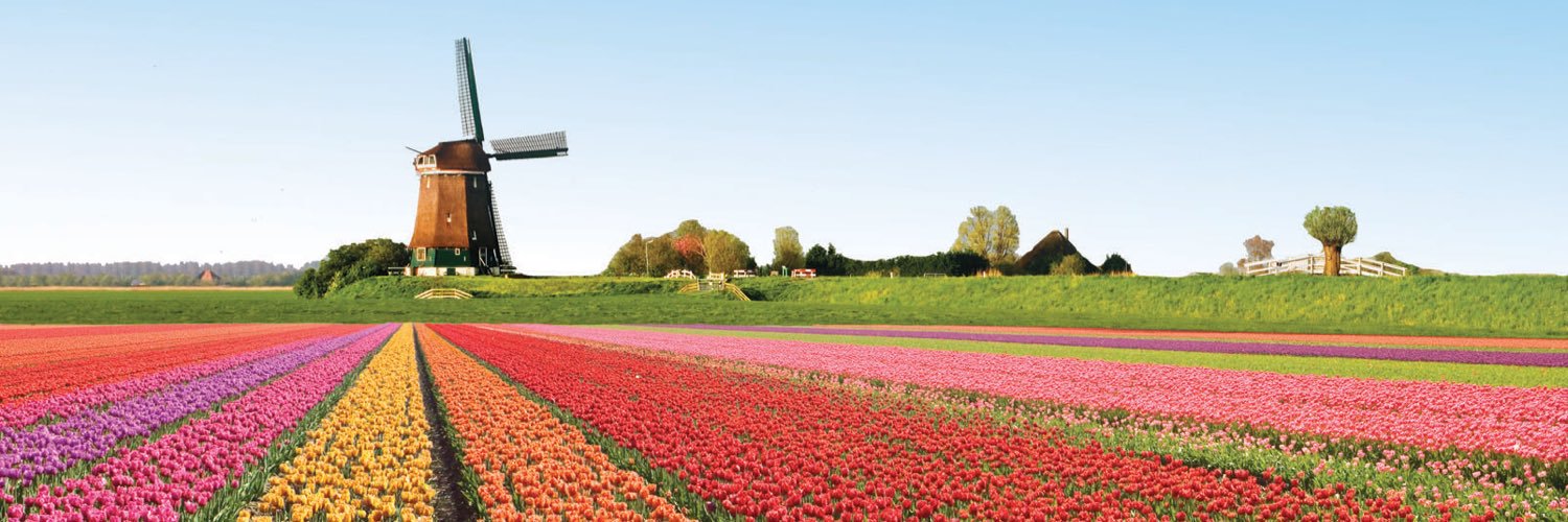 Patrick Nefkens banner