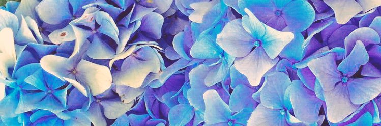 Haley4McKay_'s profile banner image