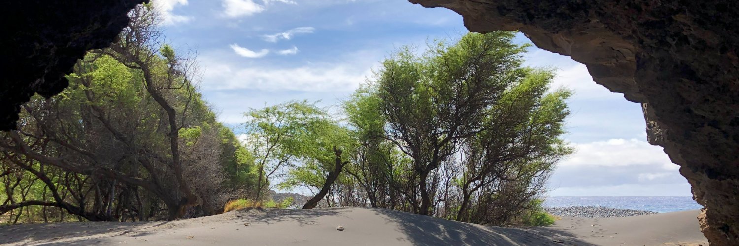 MauiBryan1's profile banner image