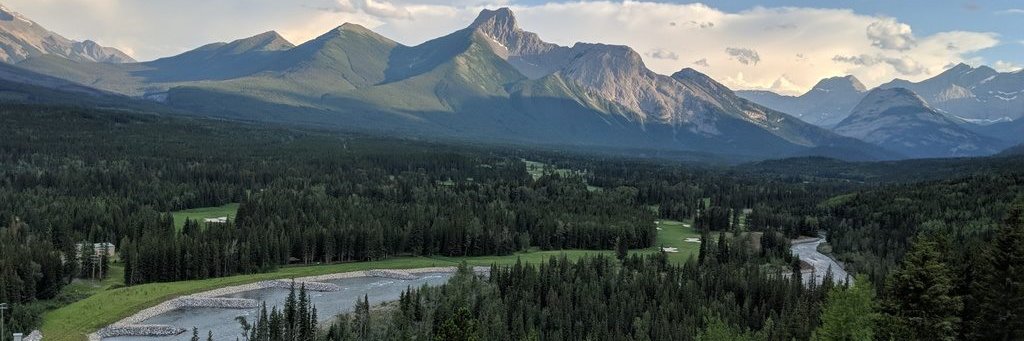 Proctor_Lisa's profile banner image