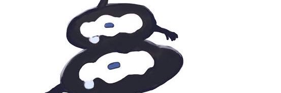 hasewotomy's profile banner image