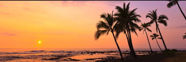 Carly_2704's profile banner image