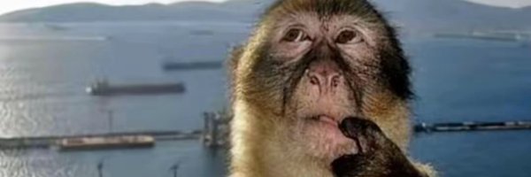 vdr3lt Profile Banner