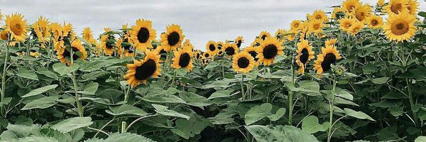 yoxwhyu Profile Banner