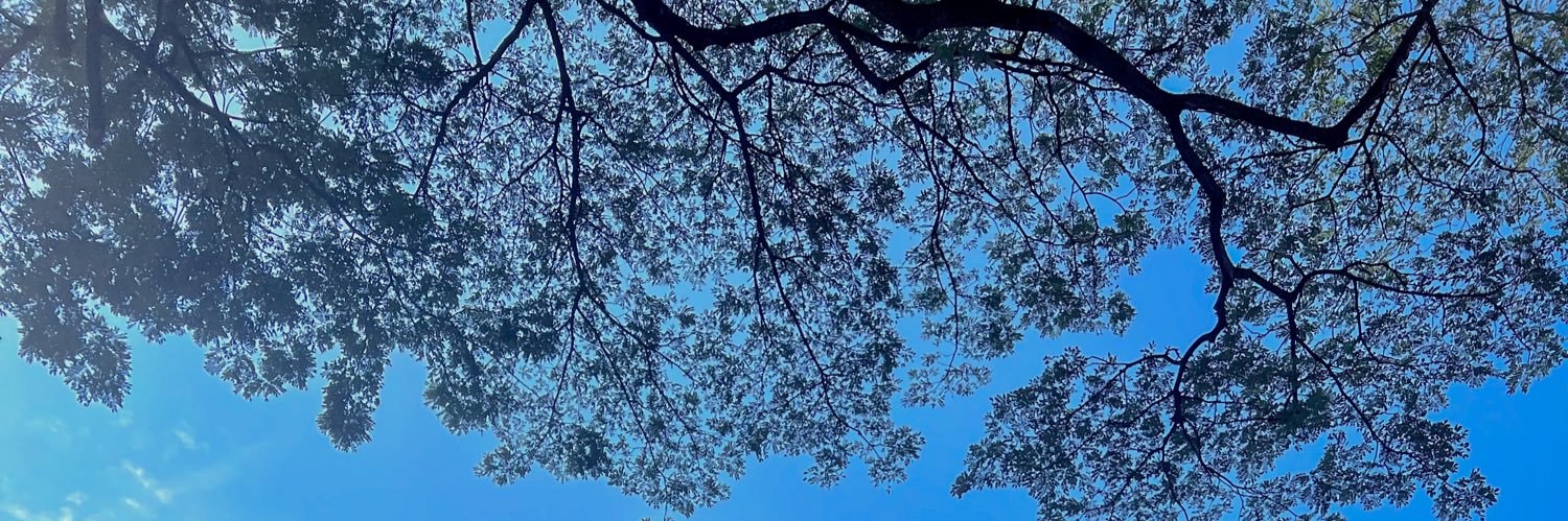cupolcacu's profile banner image