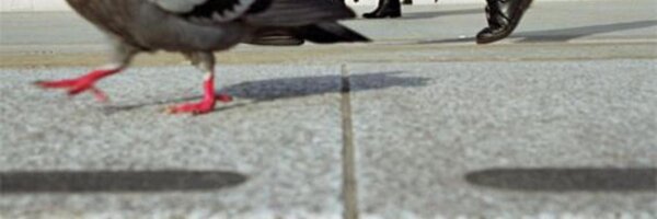 wilospra Profile Banner