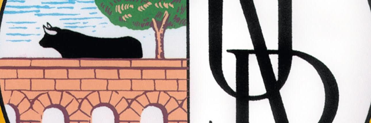 halaunion's profile banner image