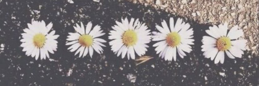 Kaymarkz97's profile banner image