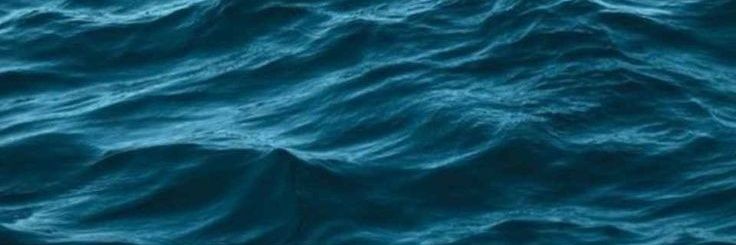 marjoserod's profile banner image