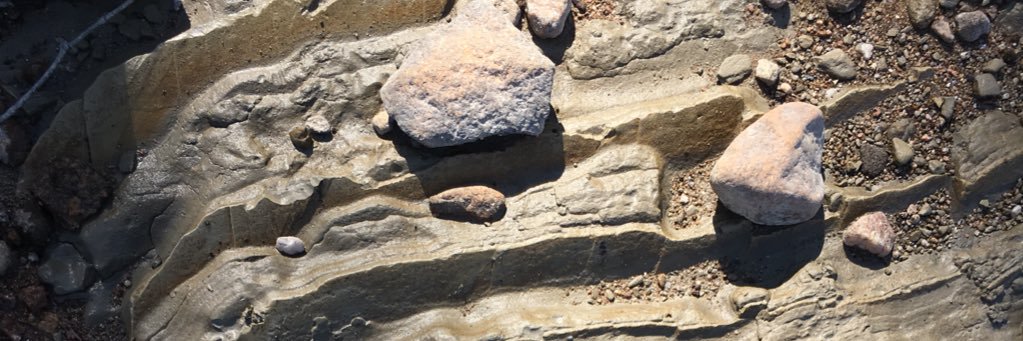 Susan Underhill banner