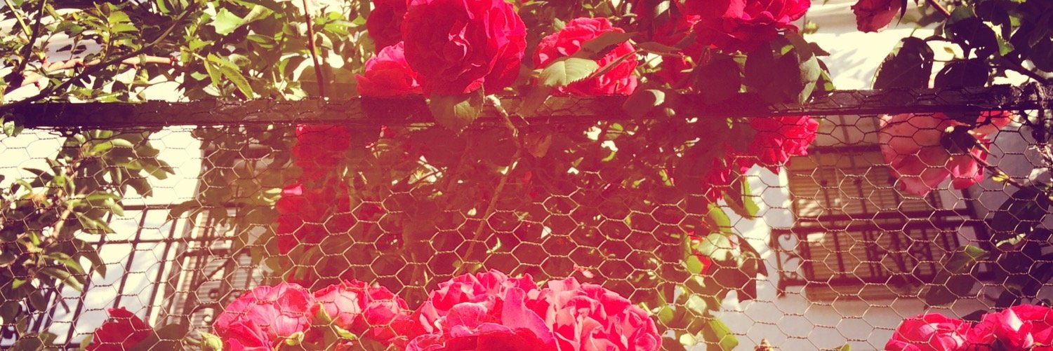 zosiatweets's profile banner image