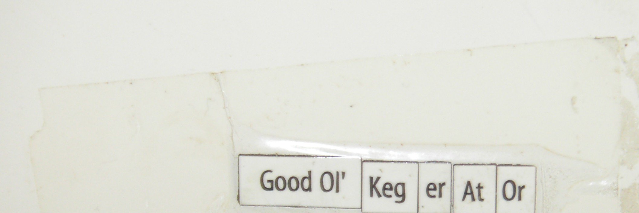 Benjamin Lorr banner